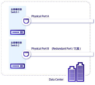 Conceptual diagram of port redundancy